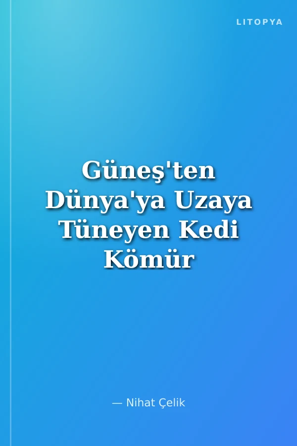 Güneş'ten Dünya'ya Uzaya Tüneyen Kedi Kömür