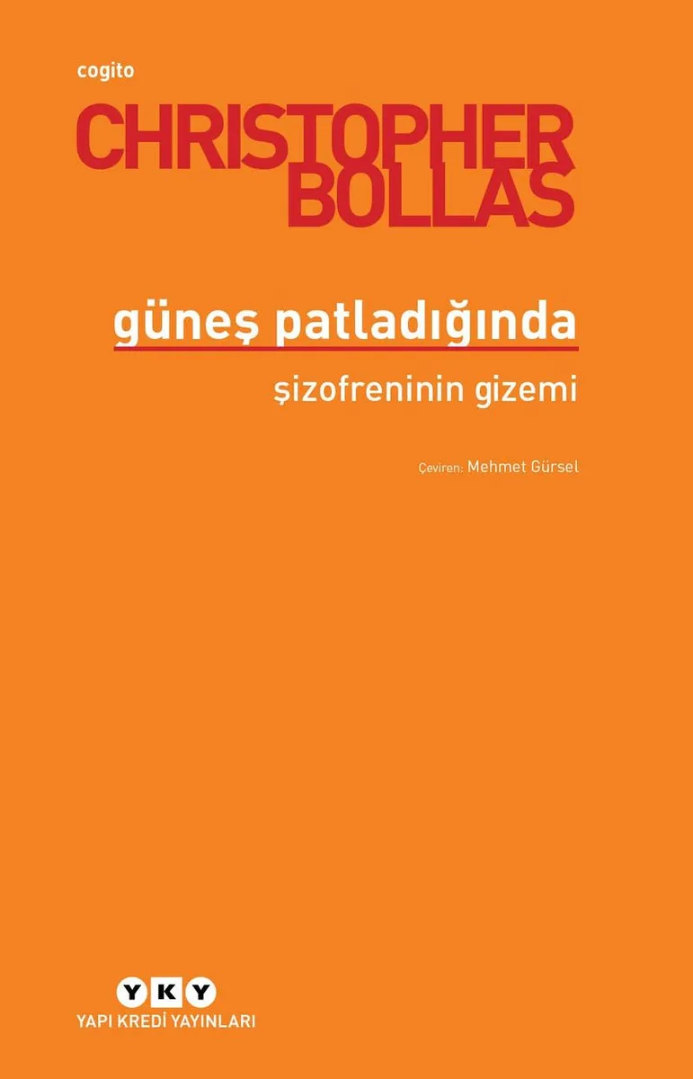 Güneşi Patladığında Şizofreninin Gizemi