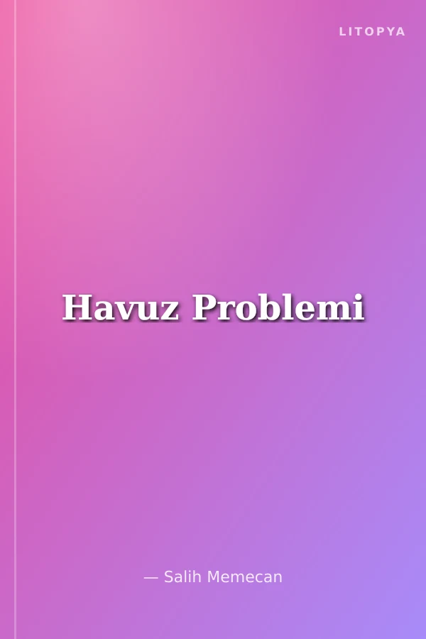 Havuz Problemi