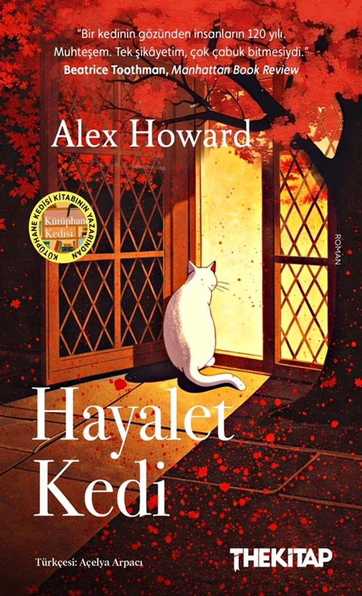 Hayalet Kedi