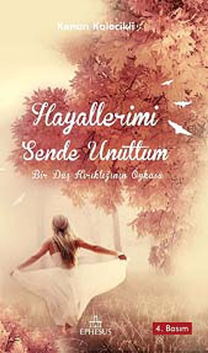 Hayallerimi Sende Unuttum Bir Düş Kırıklığının Öyküsü