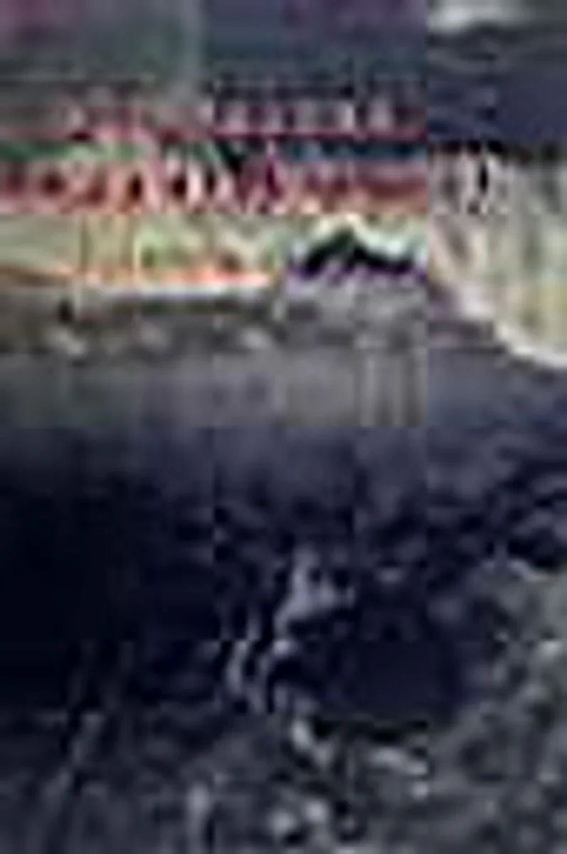 Hayat Çizgisi