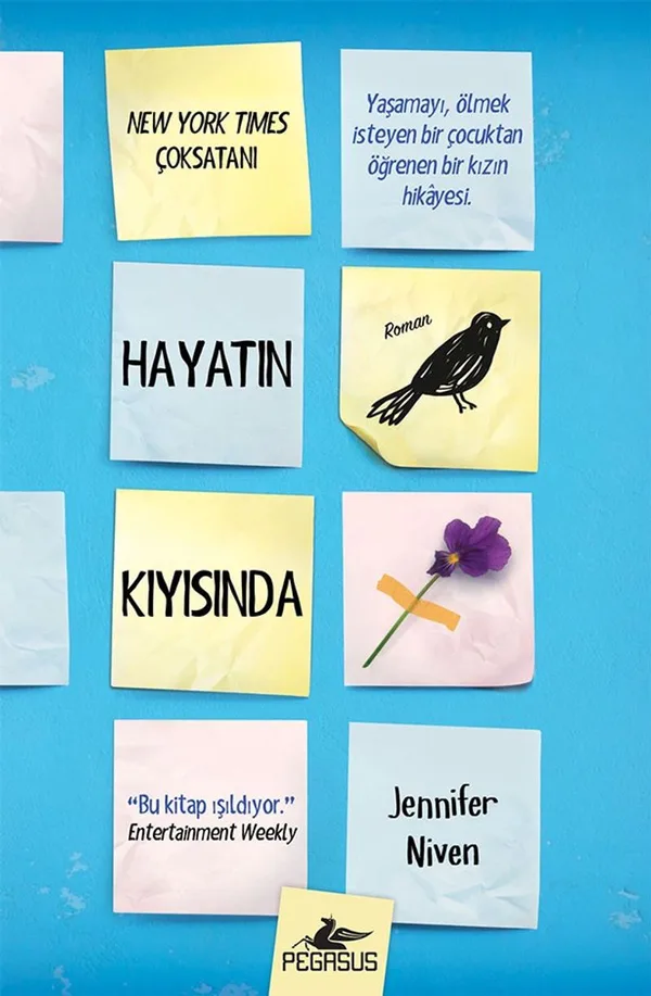 Hayatın Kıyısında (Ciltli)