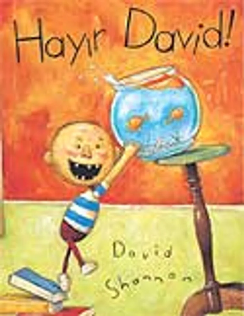 Hayır David!