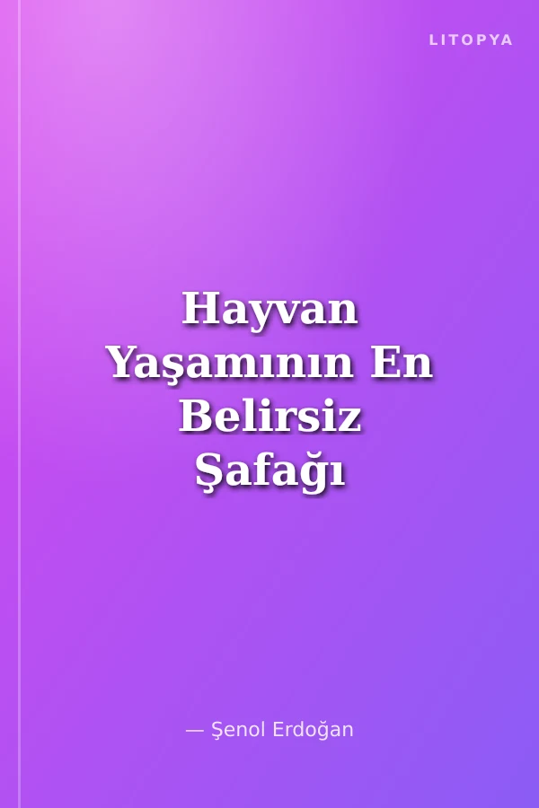 Hayvan Yaşamının En Belirsiz Şafağı -ya da- Yara Dikme Sanatı ve Nesnelerin Mukavemeti Üzerine