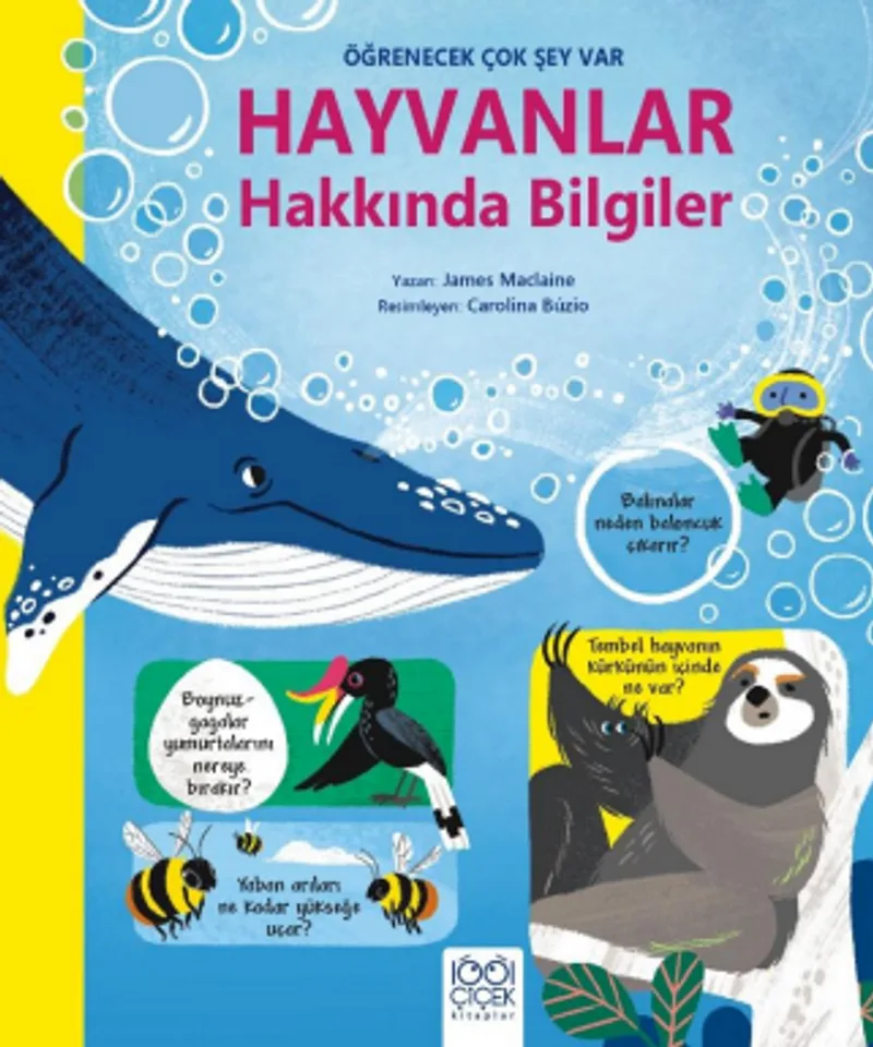 Hayvanlar Hakkında Bilgiler Öğrenecek Çok Şey Var