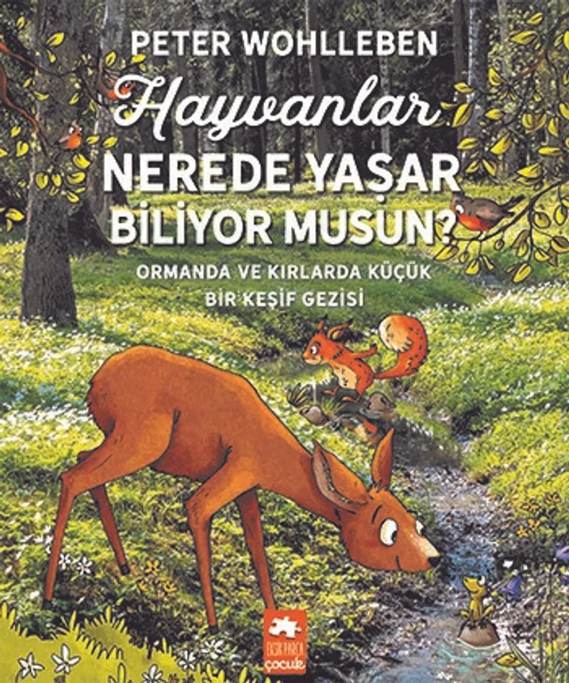 Hayvanlar Nerede Yaşar Biliyor Musun?