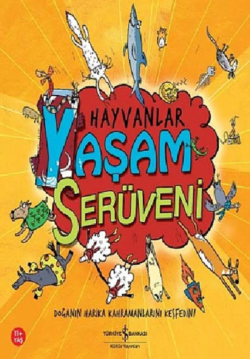 Hayvanlar / Yaşam Serüveni