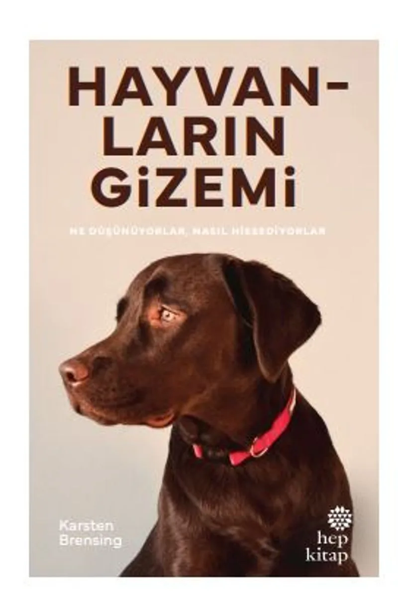 Hayvanların Gizemi
