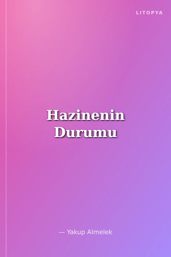 Hazinenin Durumu