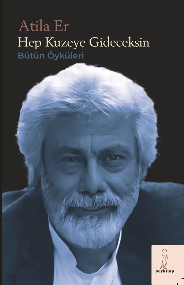 Hep Kuzeye Gideceksin Bütün Öyküler
