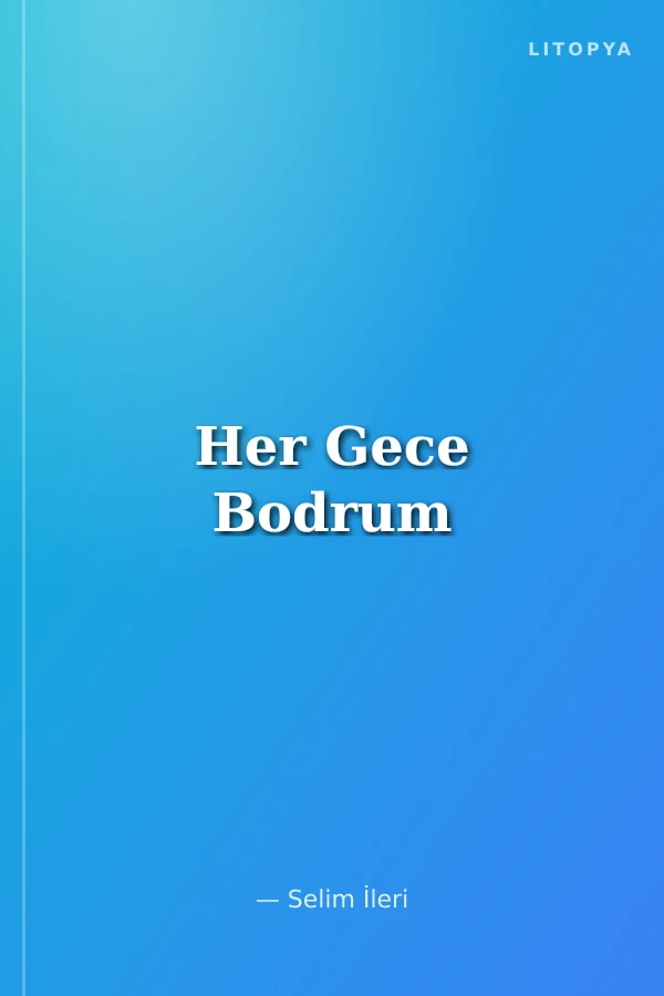 Her Gece Bodrum