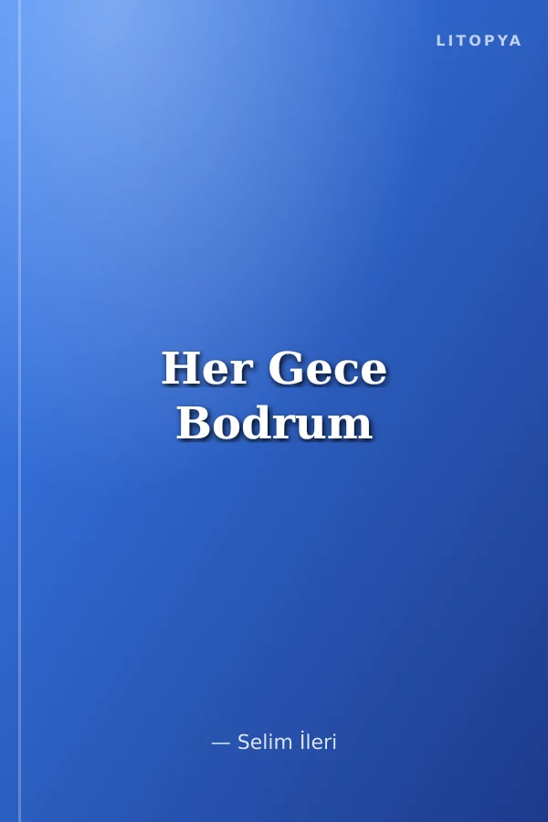 Her Gece Bodrum