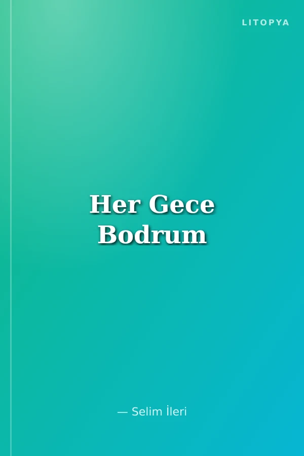 Her Gece Bodrum