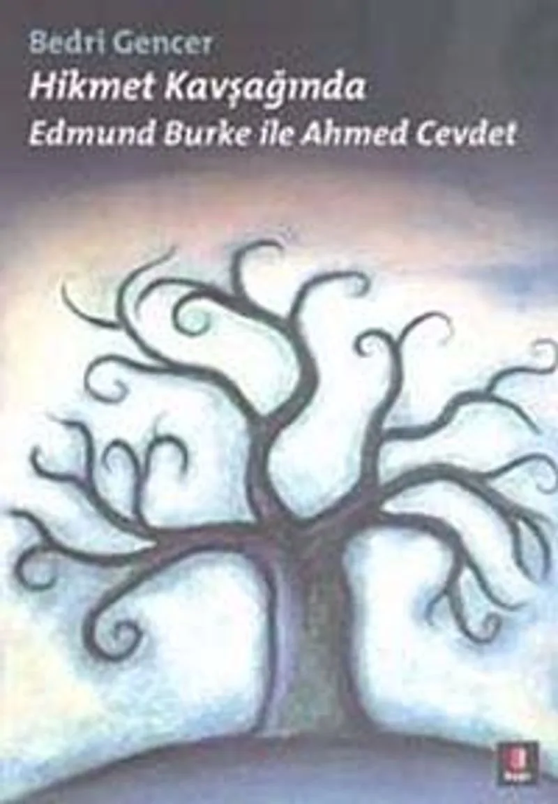 Hikmet Kavşağında Edmund Burke ile Ahmed Cevdet