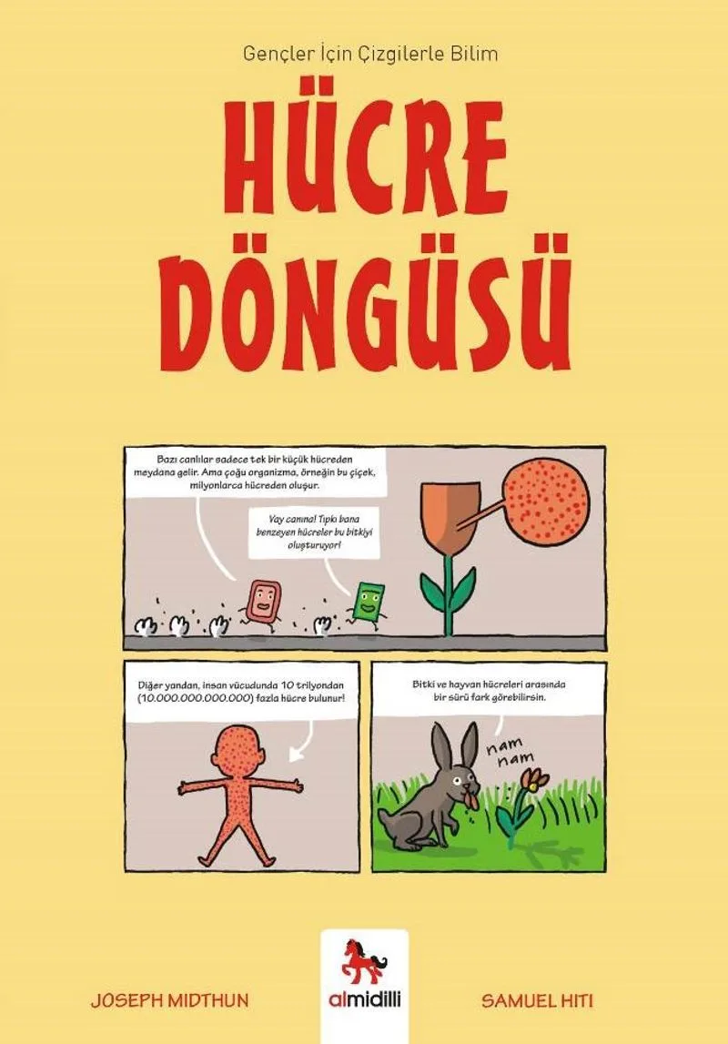 Hücre Döngüsü / Gençler İçin Çizgilerle Bilim
