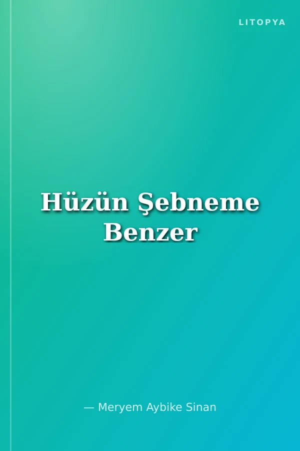 Hüzün Şebneme Benzer
