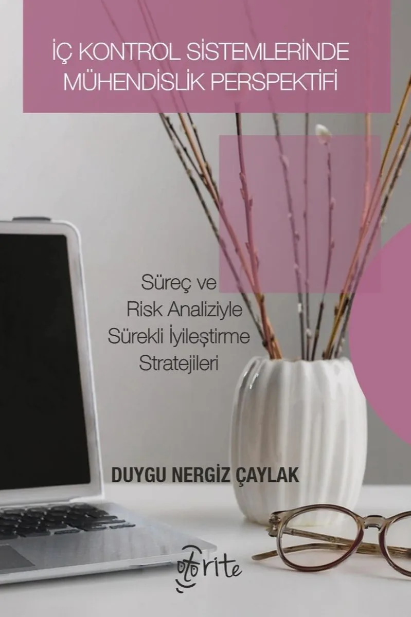 İç Kontrol Sistemlerinde Mühendislik Perspektifi Süreç ve Risk Analizleriyle Sürekli İyileştirme Stratejileri