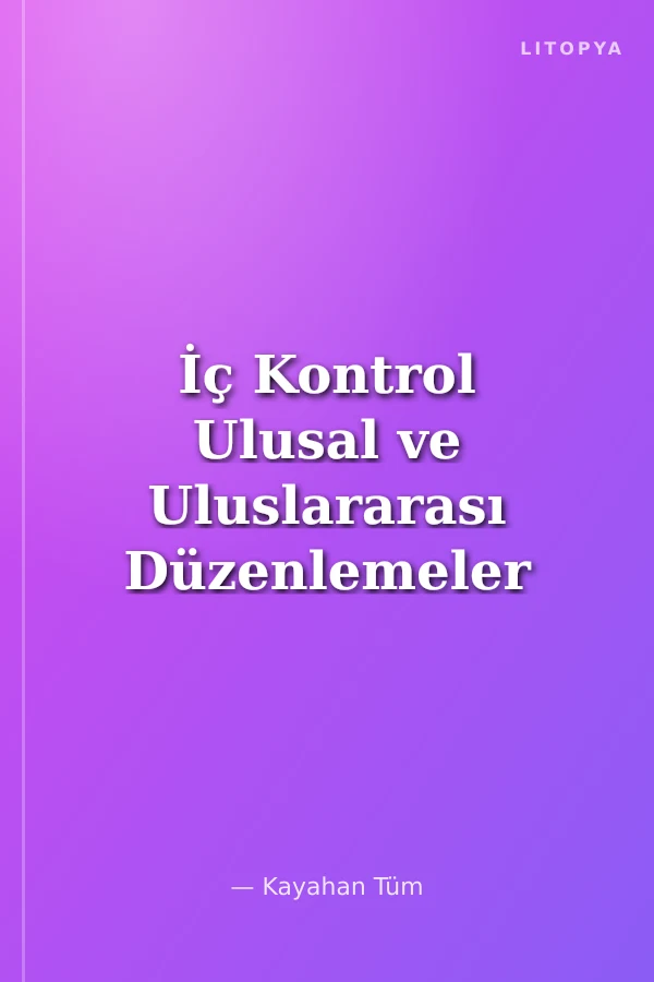 İç Kontrol Ulusal ve Uluslararası Düzenlemeler Çerçevesinde Bir Değerlendirme