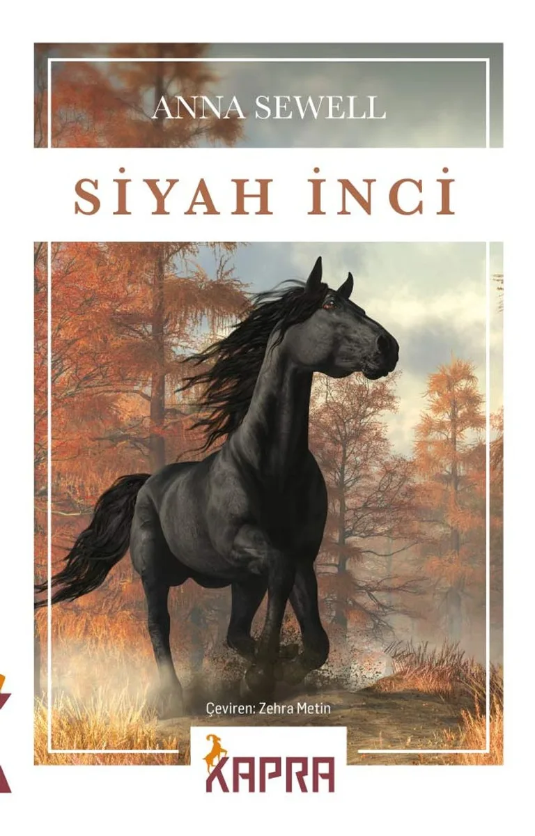 İçindekiler