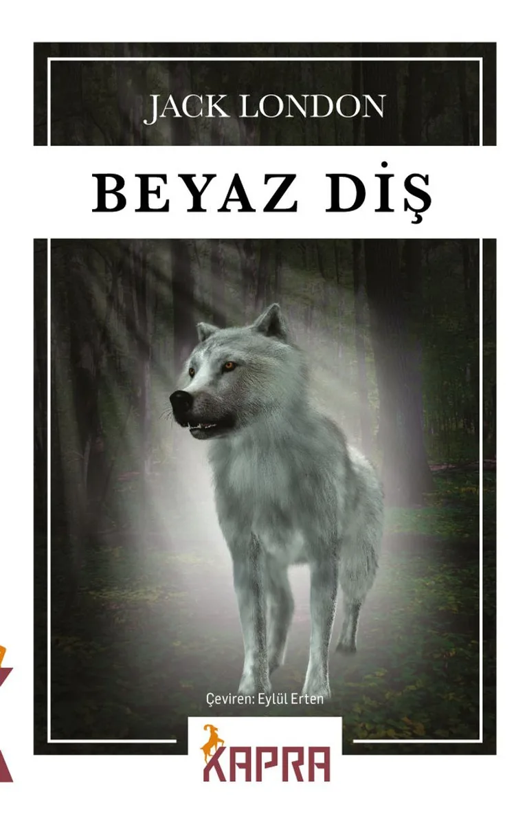 İçindekiler