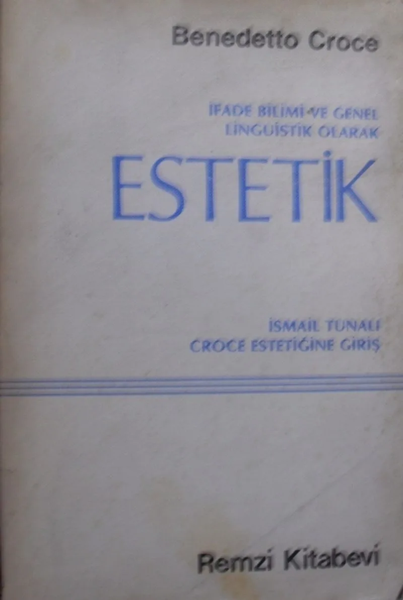 İfade Bilimi ve Genel Linguistik Olarak Estetik / 3-D-34