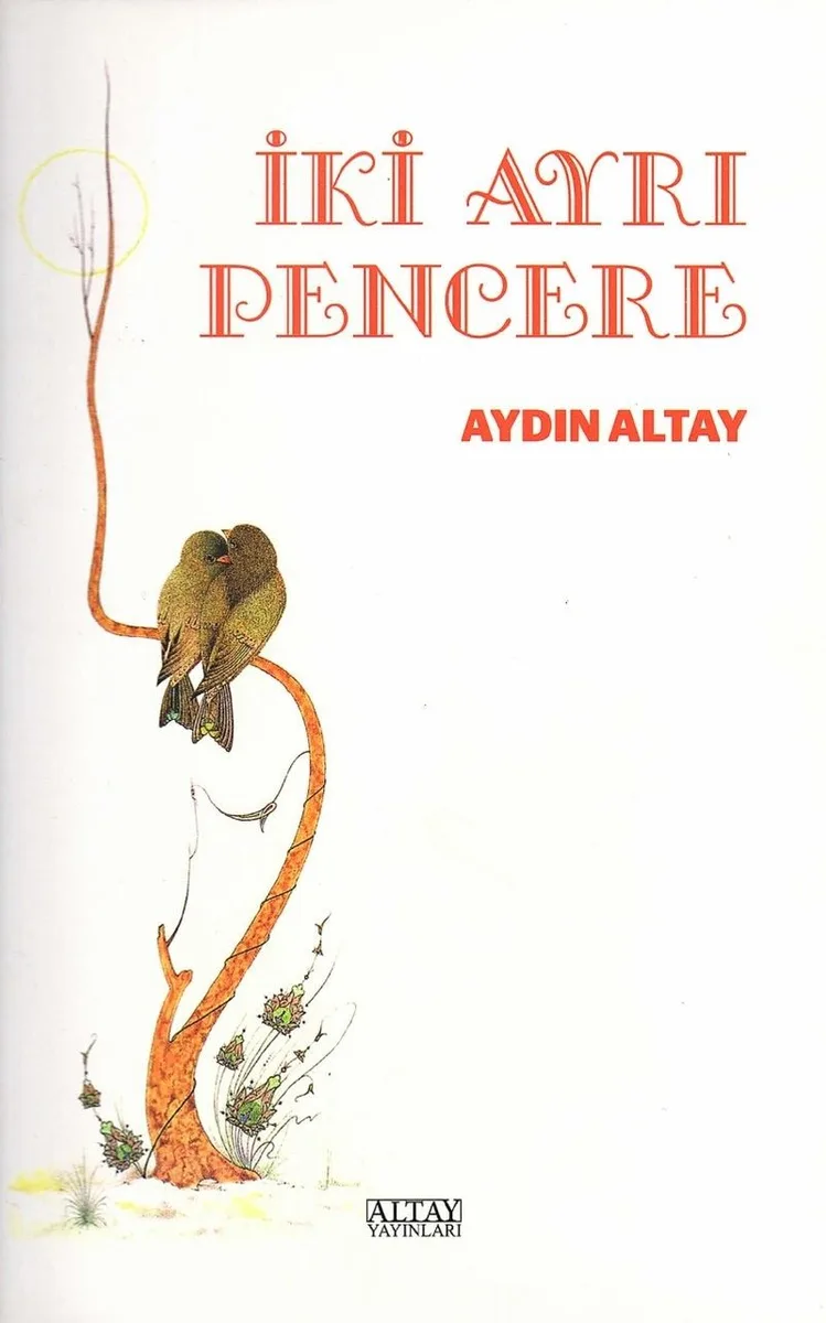 İki Ayrı Pencere