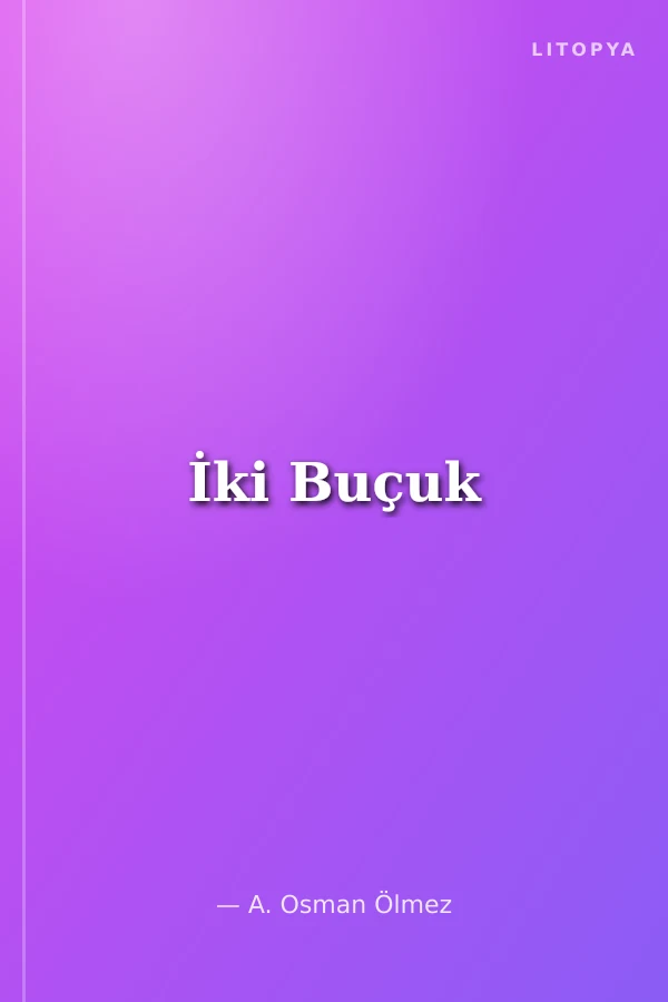 İki Buçuk