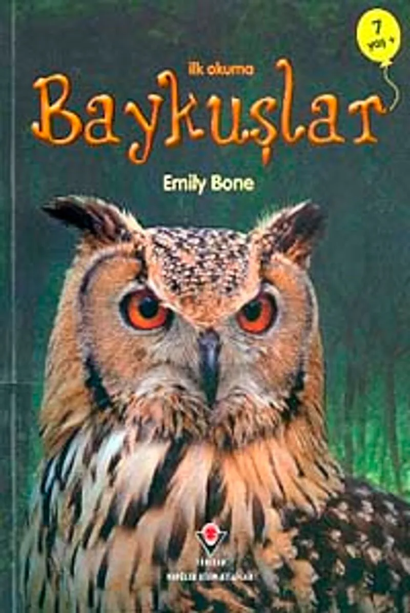 İlk Okuma - Baykuşlar