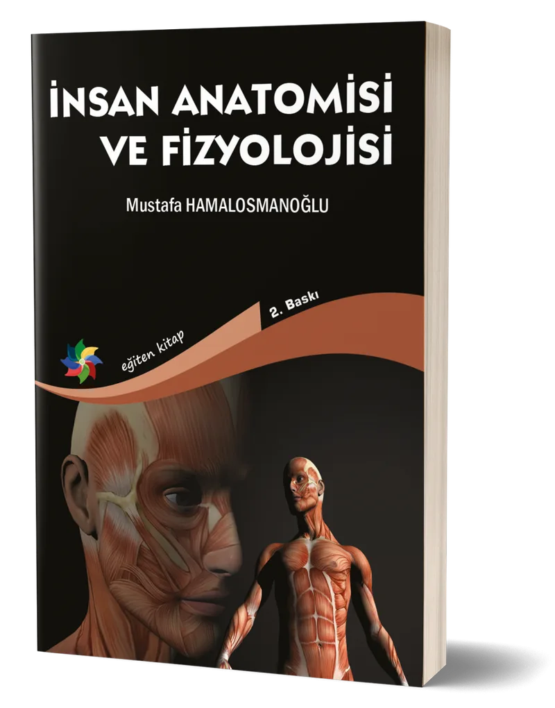 İnsan Anatomisi ve Fizyolojisi
