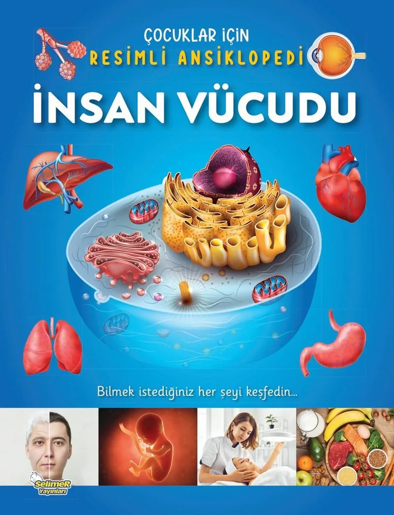 İnsan Vücudu / Çocuklar İçin Resimli Ansiklopedi