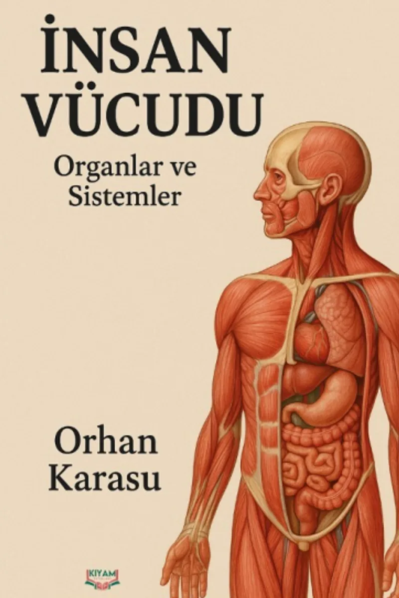 İnsan Vücudu Organlar ve Sistemler