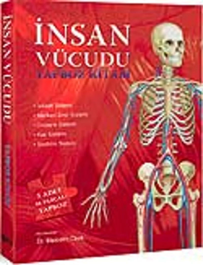 İnsan Vücudu Yapboz Kitabı