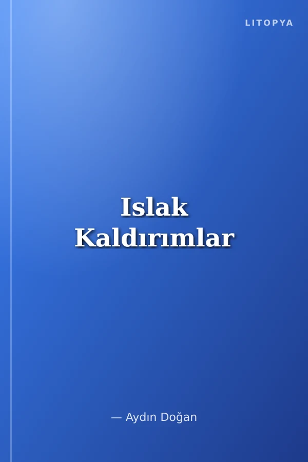 Islak Kaldırımlar