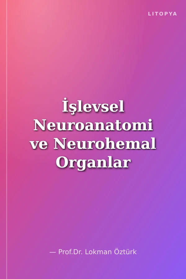 İşlevsel Neuroanatomi ve Neurohemal Organlar