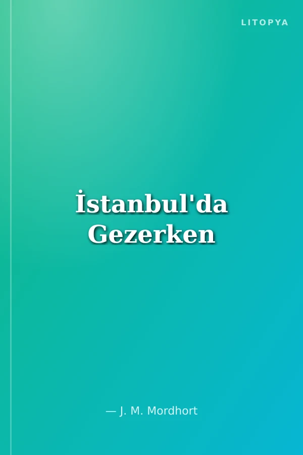 İstanbul'da Gezerken
