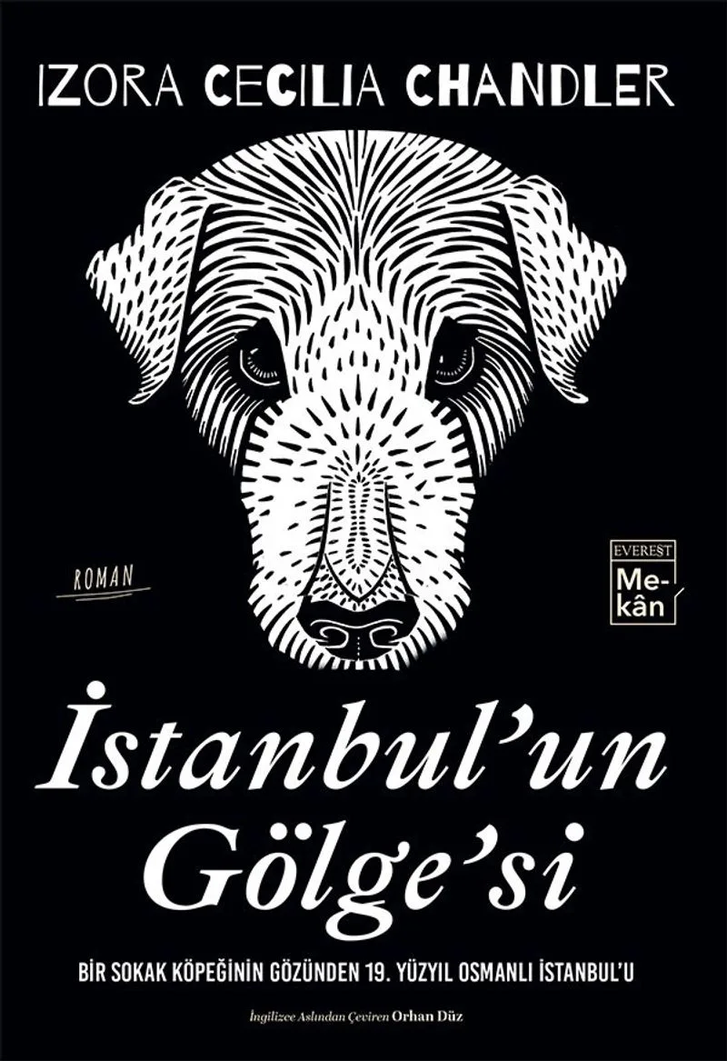 İstanbul'un Gölge'si Bir Sokak Köpeğinin Gözünden 19. Yüzyıl Osmanlı İstanbul'u