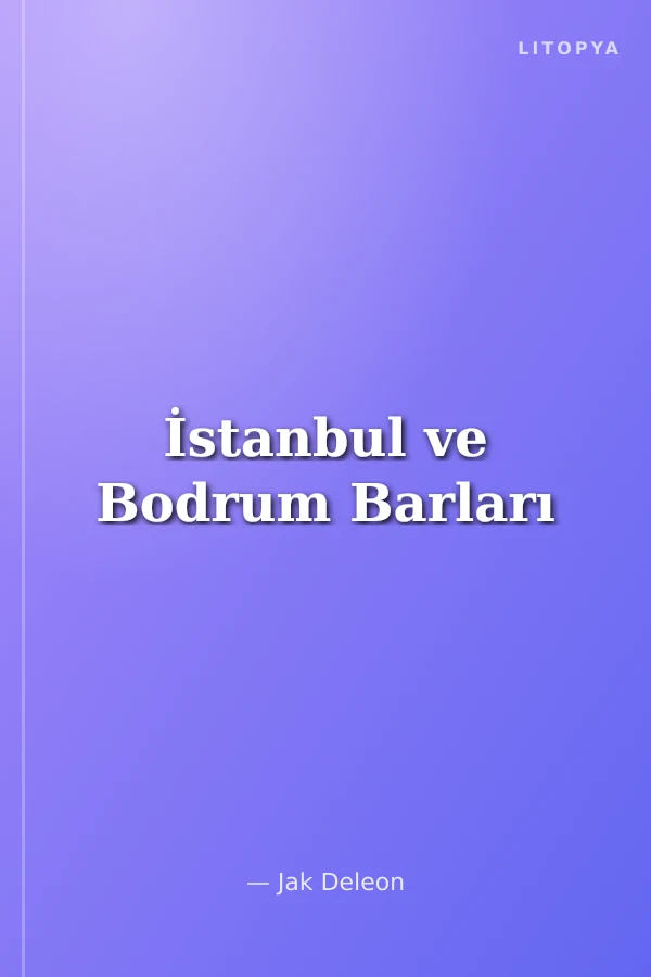 İstanbul ve Bodrum Barları
