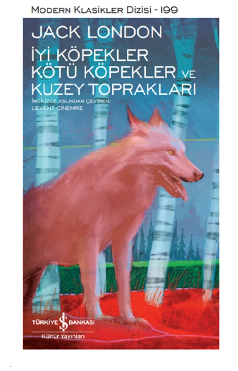 İyi Köpekler Kötü Köpekler Ve Kuzey Toprakları – Sert Kapak