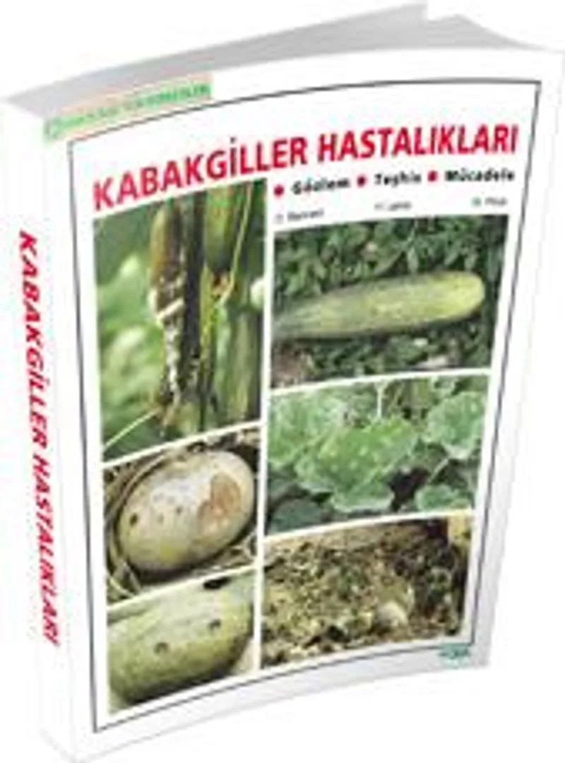 Kabakgiller Hastalıkları Gözlem Teşhis Mücadele