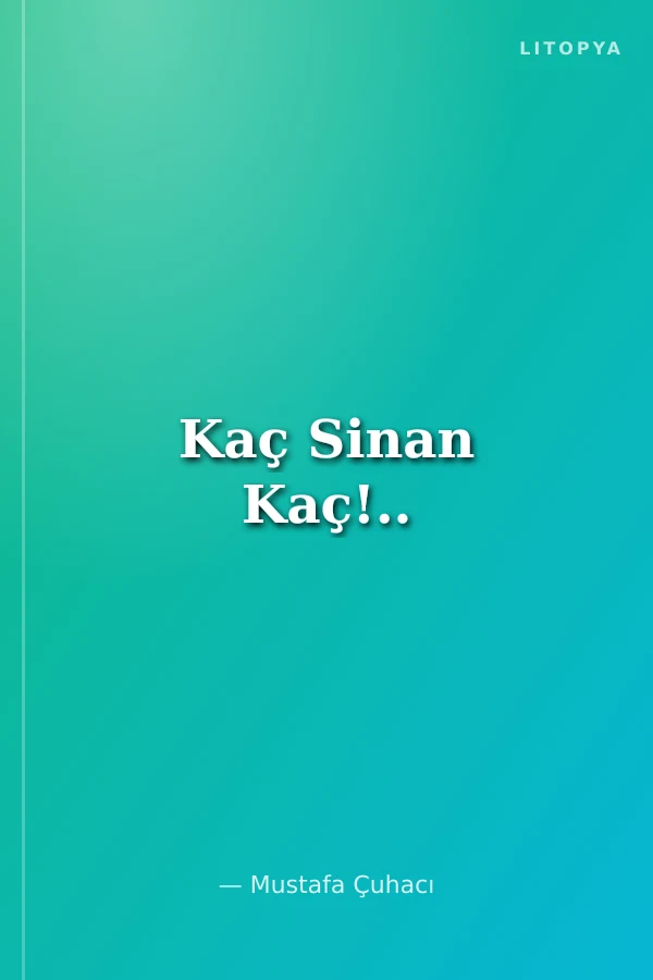 Kaç Sinan Kaç!..
