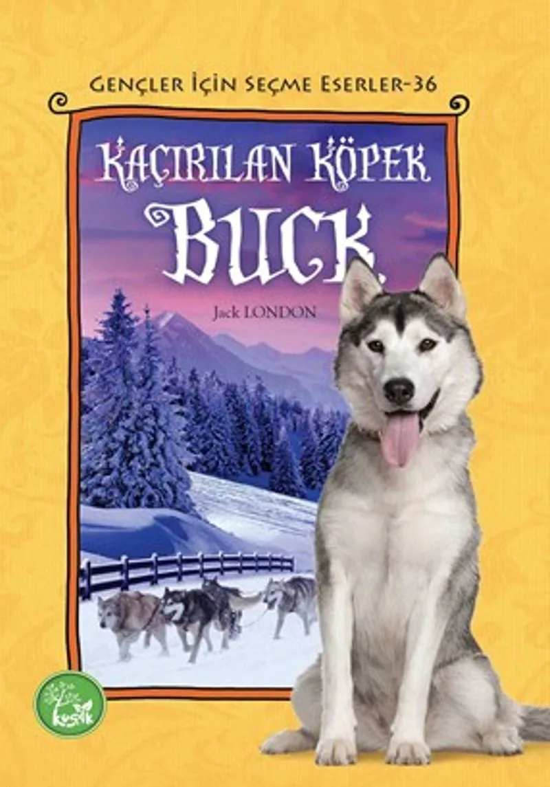 Kaçırılan Köpek Buck / Gençler İçin Seçme Eserler 36