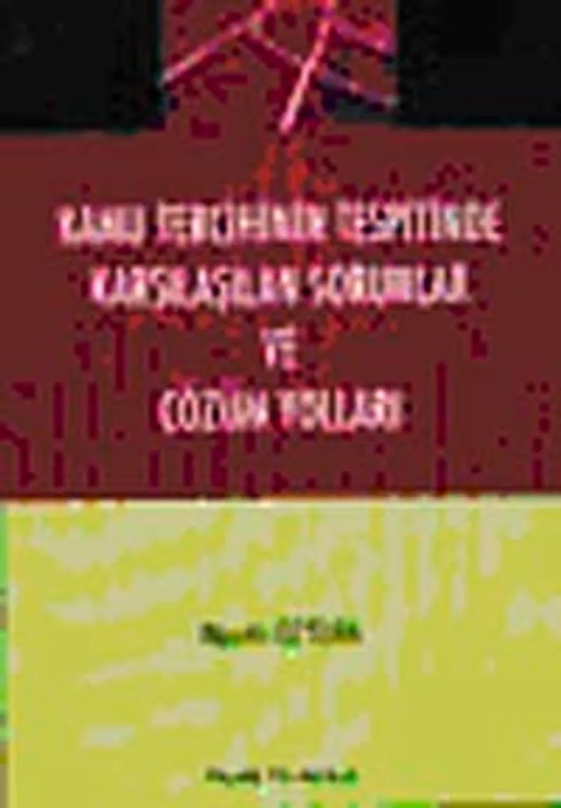 Kamu Tercihinin Tespitinde Karşılaşılan Sorunlar ve Çözüm Yolları