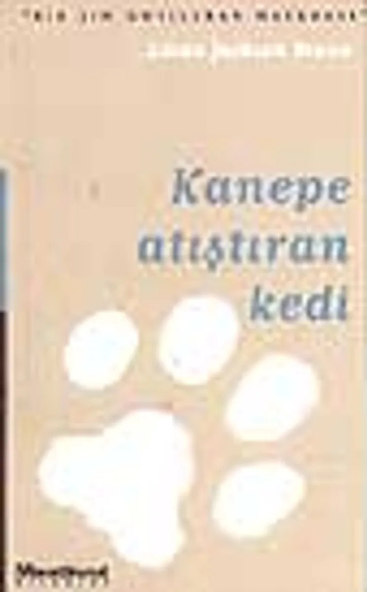 Kanepe Atıştıran Kedi