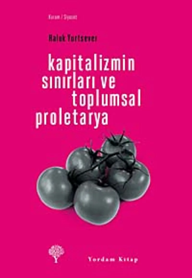 Kapitalizmin Sınırları ve Toplumsal Proletarya