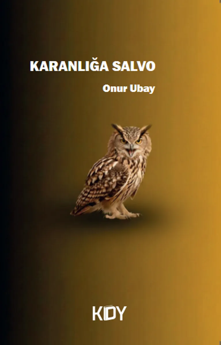 Karanlığa Salvo