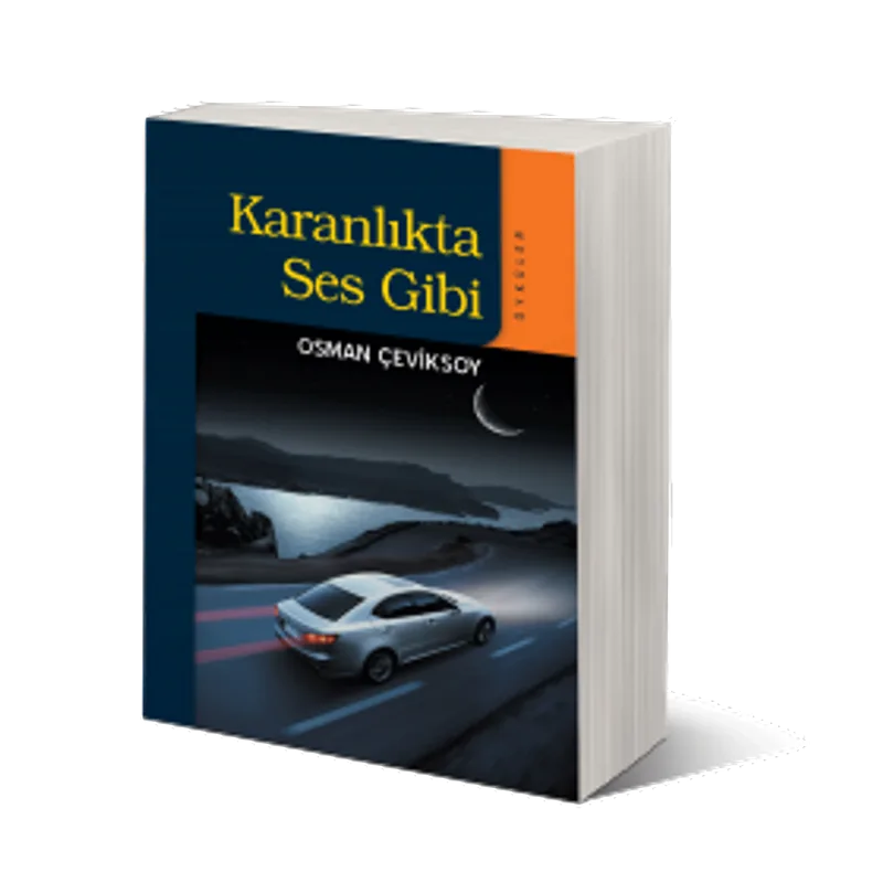 Karanlıkta Ses Gibi