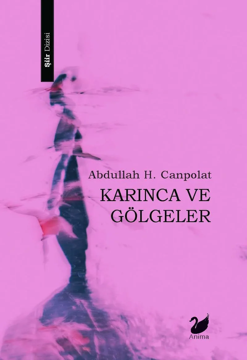 Karınca ve Gölgeler