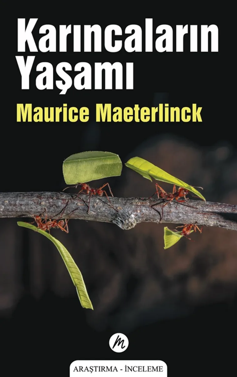 Karıncaların Yaşamı