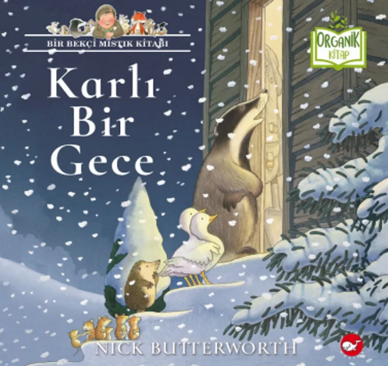 Karlı Bir Gece